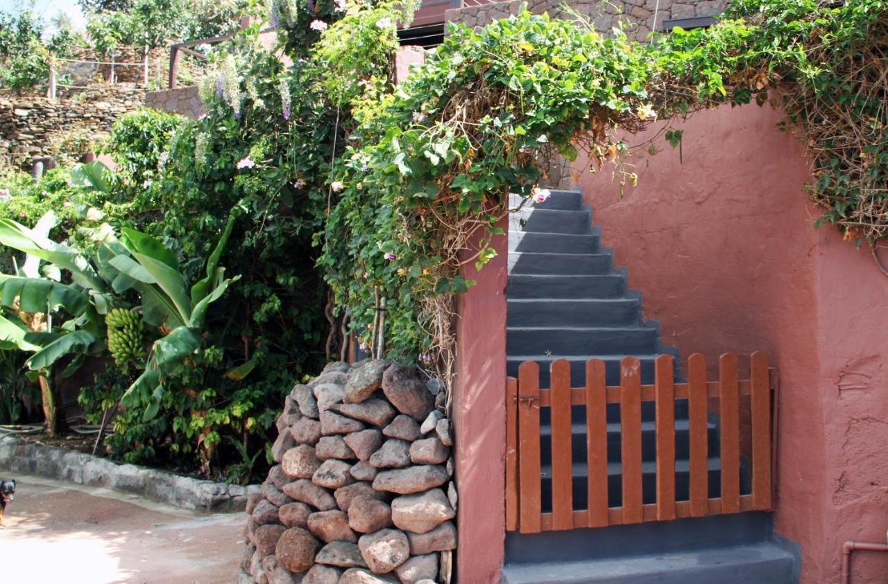 Tonono'S Village Santa Maria de Guia de Gran Canaria Extérieur photo