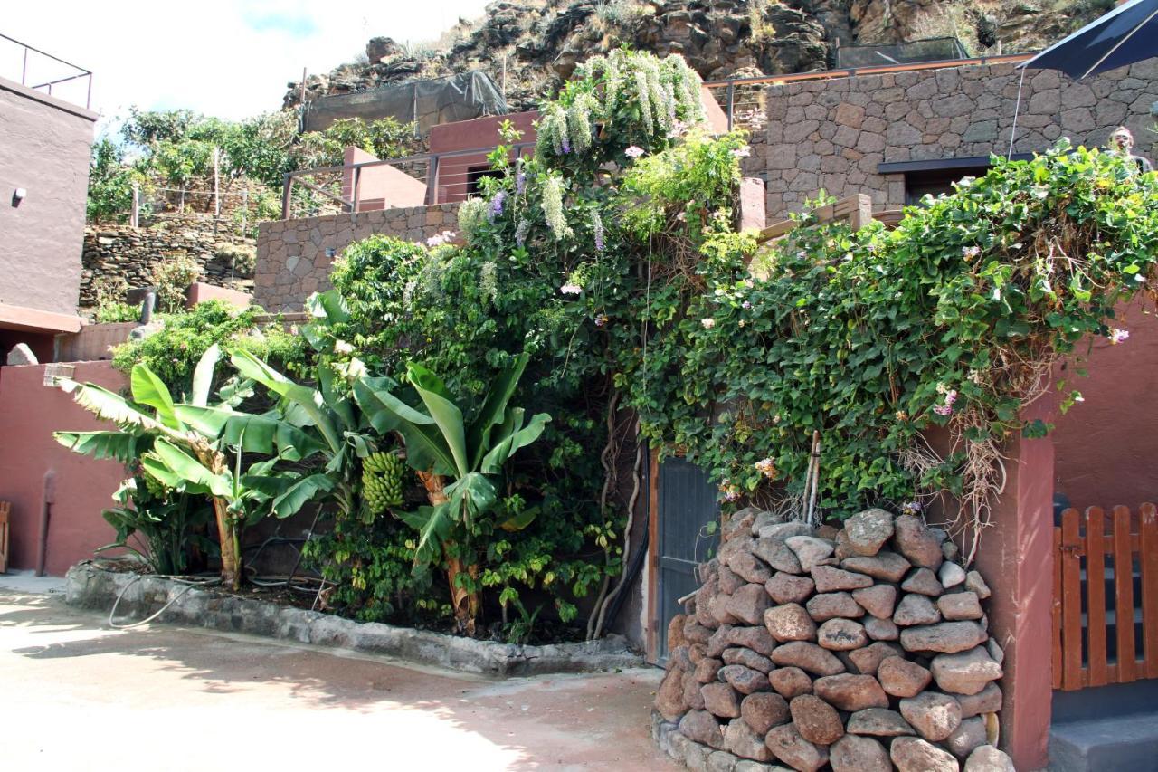 Tonono'S Village Santa Maria de Guia de Gran Canaria Extérieur photo