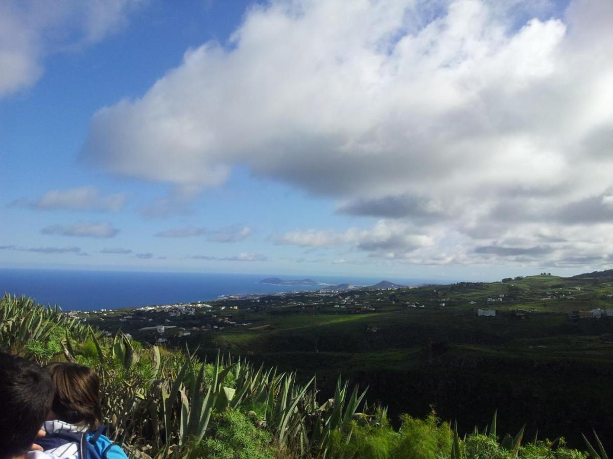 Tonono'S Village Santa Maria de Guia de Gran Canaria Extérieur photo