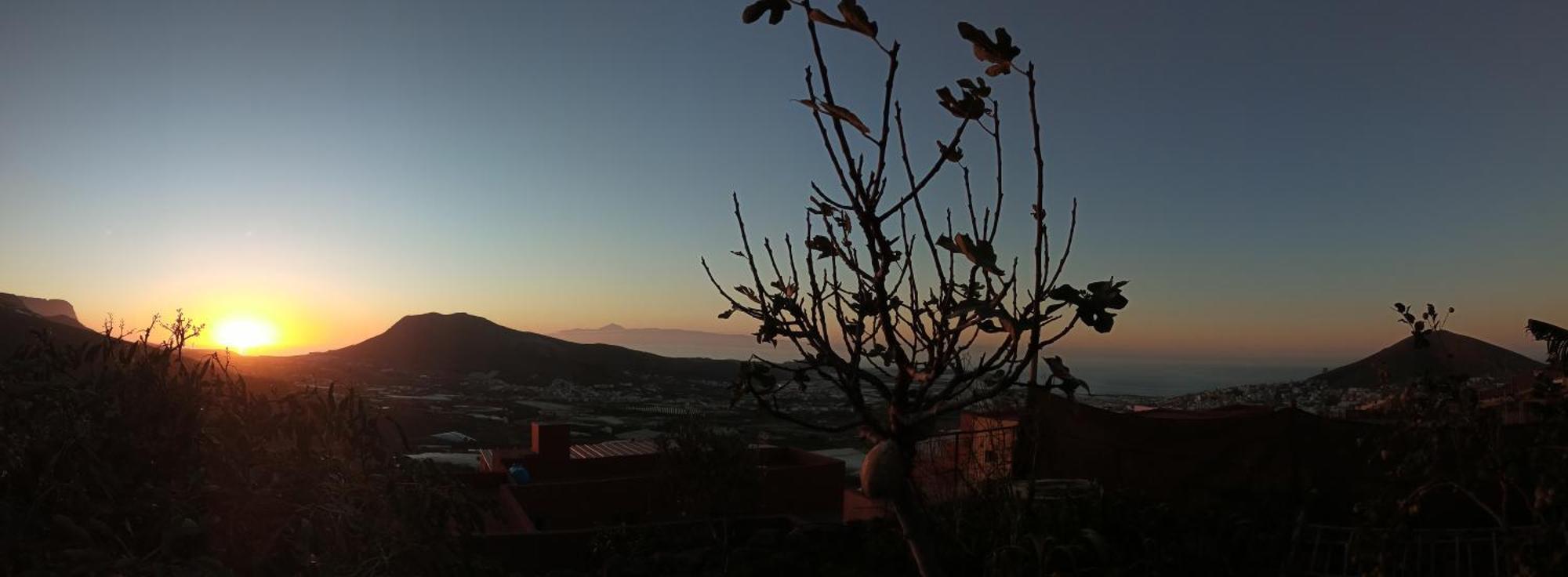 Tonono'S Village Santa Maria de Guia de Gran Canaria Extérieur photo