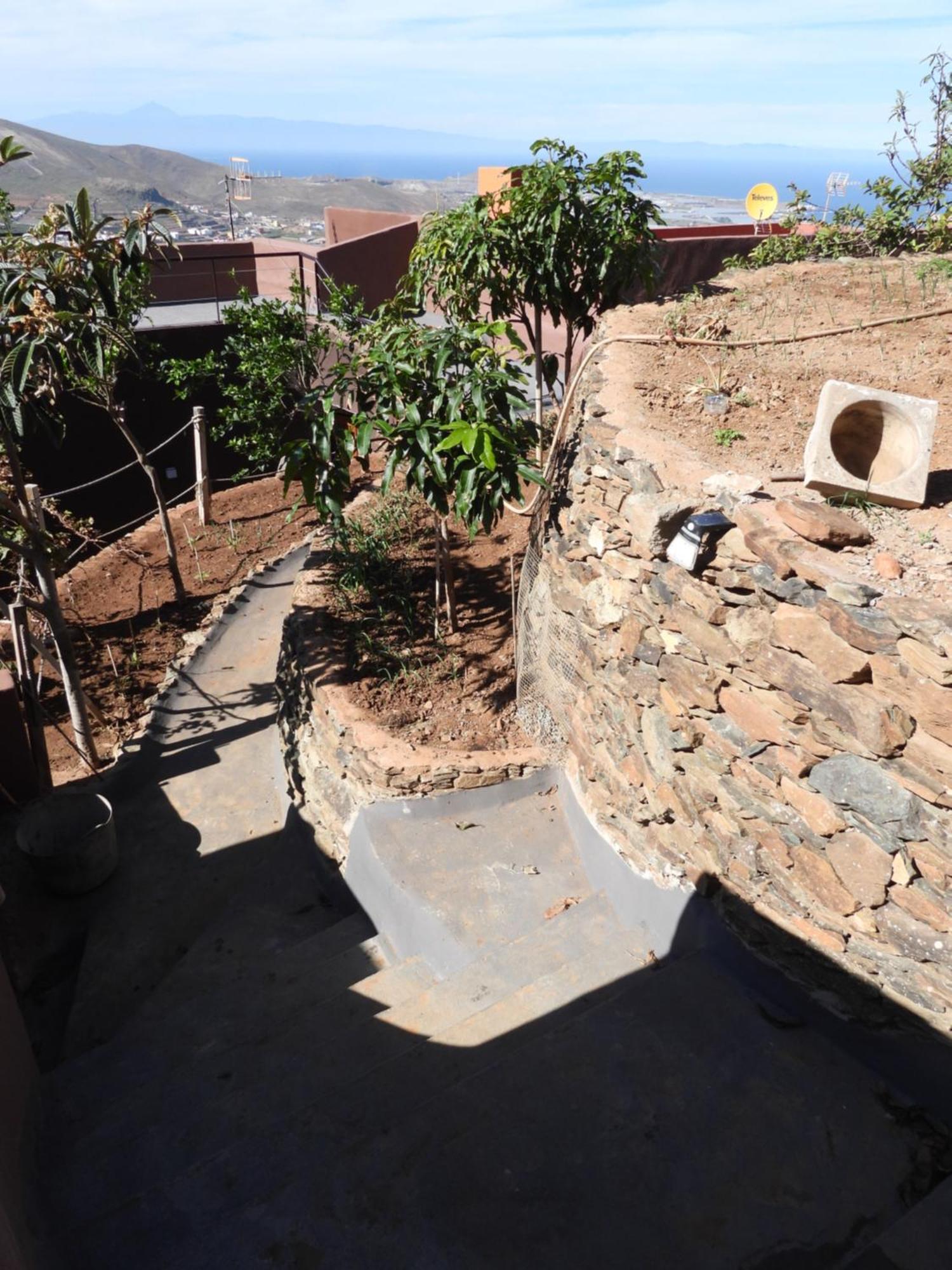Tonono'S Village Santa Maria de Guia de Gran Canaria Extérieur photo