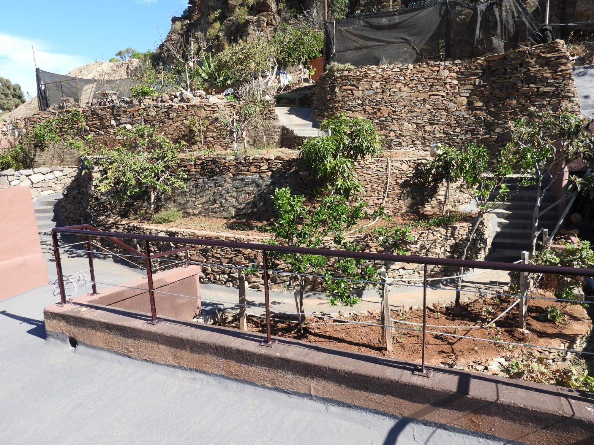 Tonono'S Village Santa Maria de Guia de Gran Canaria Extérieur photo